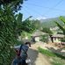 Bang Teds - Facebook