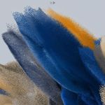 Ted Băng - @tedbang4 - Instagram