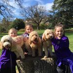 Archie Barkley Ted - @ted._.barkley._.archie - Instagram