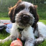 Mr Teddy Barkley - @mrteddybarkley - Instagram