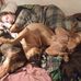 Ted Barkley - Facebook