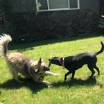 Teddy Barkley - @teddybarkley - Instagram