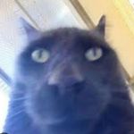 Ted - @ted_barlow16 - Instagram