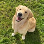 TED - @tedbarlow_ - Instagram