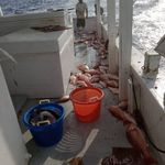 Ted Barnett - @tedbarneet - Instagram