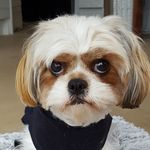 Ted-robert Barnett - @willow_the_puppy34521 - Instagram