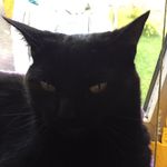Ted-robert Barnett - @just_blues_just_blues - Instagram