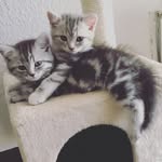 Ted & Barney 🐾 - @ted_barney_263 - Instagram