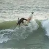 Ted Barnhart - @ted.barnhart - TikTok