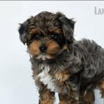 Teddy Barnhart - @sheriffteddy2024 - Instagram
