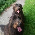 Ted and Penny Barrett - @adventuresoftedandpenny - Instagram