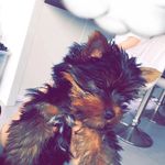 Ted Barry🐶 - @ted.barry22 - Instagram