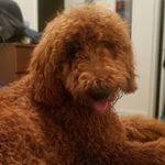 Tedward - @tedwardbartholomew - Instagram