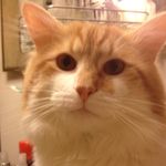 Ted Cronbaugh - @ted.cronbaugh - Instagram