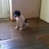 Teddo Baumann - @teddobaumann - TikTok