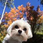 Teddy Baumann - @teddybaumann - Instagram