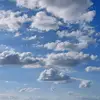 Melenated Beachbum - @melenatedbeachbum - TikTok