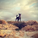 South Beach Ted - @southbeachted - Instagram
