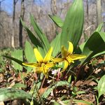 Ted Beatty - @thebeattyroost - Instagram
