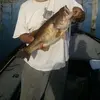 Teddy Beaty675 - @teddybeaty675 - TikTok