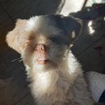 teddy_roc - @teddybeauchamp66 - Instagram