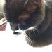 Ted Beaudoin - Facebook