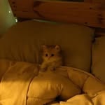 Ted - @ted.bedwell - Instagram