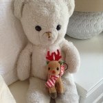 Teddy - @teddybeebee - Instagram