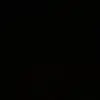 🌃 - @ted.beecroft - TikTok