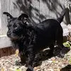 tedbennett - @tedbennett - TikTok
