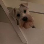 Ted Bentley - @bentley.ted - Instagram