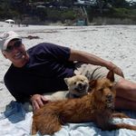 Ted Bentley - @1_good_dog_ - Instagram