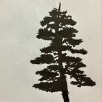 Ted Bentley - @mossinmylife - Instagram