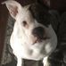 Teddy Bentley - Facebook