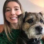 ted benton - @tedtheborderterrier - Instagram
