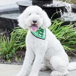 Teddy Benton - @thebracesdood - Instagram