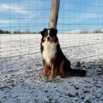 @ted_bergeraustralien - Instagram