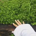 Ted Bergeron - @bergeron.ted - Instagram