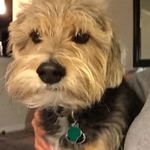 Teddy Berndt - @teddyberndt - Instagram
