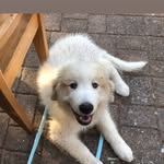 @mack.de.pyr.ted.de.berner - Instagram