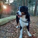 Ted the Berner - @ted.theberner - Instagram