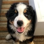 Ted Thorn Esquire - @ted.the.berner - Instagram