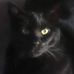 Ted Bernhardt - Facebook