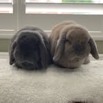 @betts_and_ted - Instagram