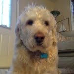 Ted Betts - @t3d_betts - Instagram