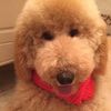 Teddy - @biggerteddy - TikTok