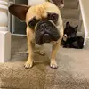 Ted Biggs - @ted..biggs - TikTok