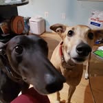 bill and Ted - @ted_bills - Instagram