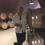 Ted Bingham - @tedkingfish - Instagram