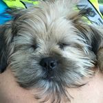 Teddy Bingham - @teddy_bingham_ - Instagram